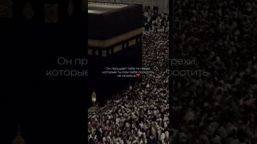 💌#minimal #quotes #рекомендации#религия#softnotes#sessizce