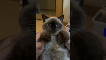 Trying To Appear Intimidating 😂