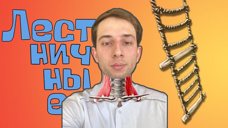 ЛЕСТНИЧНЫЕ МЫШЦЫ. Триггерные точки. Отраженная боль. Домашняя помощь.