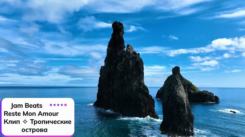 Jam Beats ⎪ Reste Mon Amour ✧ Клип