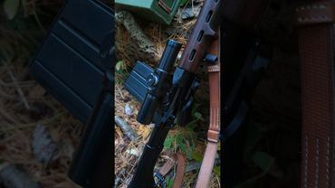 FG42 Type E • Futuristic Rifle from the Past • My Dream Gun