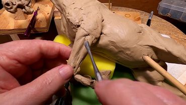 BATTLING FOR DOMINANCE   Working on the Left Front Leg at an Odd Angle