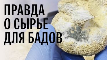 Что нам продают под видом грибов? Михаил Вишневский