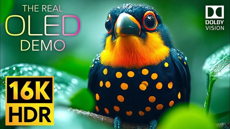 Discover Unseen Wonders of the Earth in 16K VIDEO ULTRA HD - OLED Dolby Vision HDR