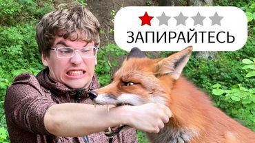 Я отдохнул на худших дачах Беларуси