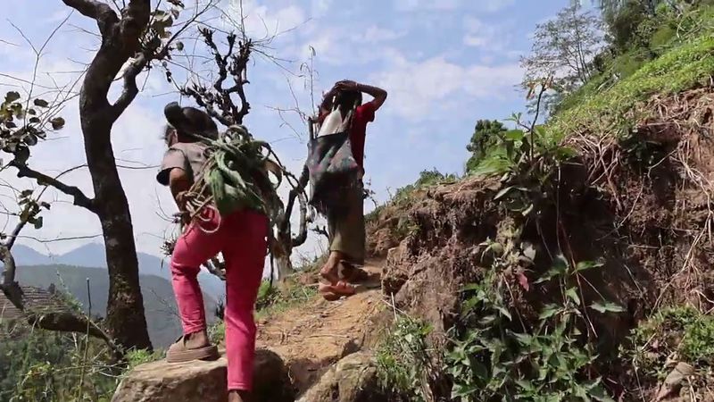 Nepali village || Going from home to the village to harvest corn