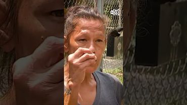 Skeletal remains found on top of trash in north Houston, police say