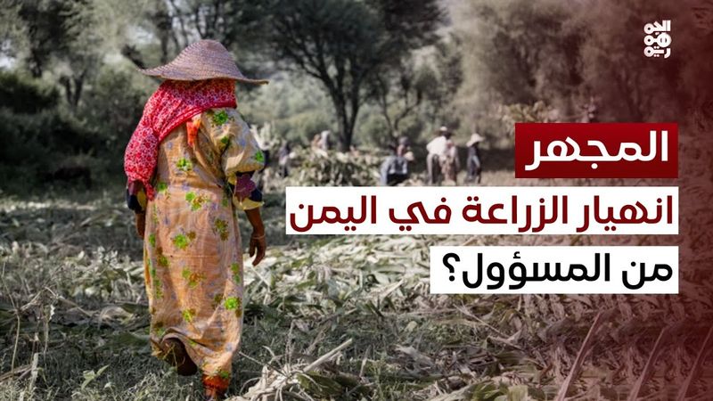 المجهر | كيف ولماذا دمر الحوثي القطاع الزراعي؟