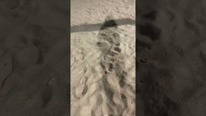 Guy Dances on Goal Pole, It Falls, and He Laughs Then Runs Away