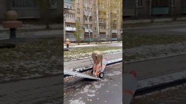 Две телочки не удержали бутылку 😂 #юмор #смехпродлеваетжизнь #прикол #шуточное #смешновидео #анекдот