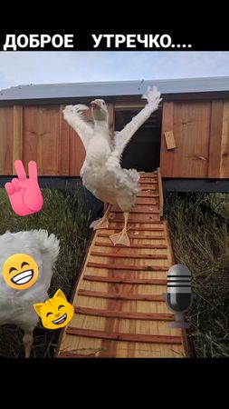 #доброеутречко.