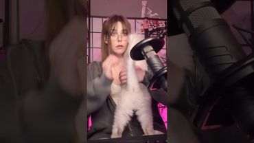 Кошка-защитница