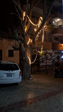 #somalitiktok  #Mogadishu#ciyaalxamar  #wartanabdda 