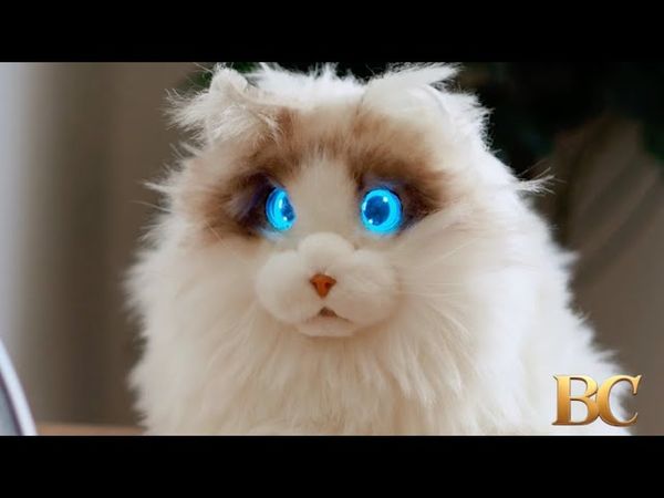 These robot cats have glowing eyes and artificial heartbeats