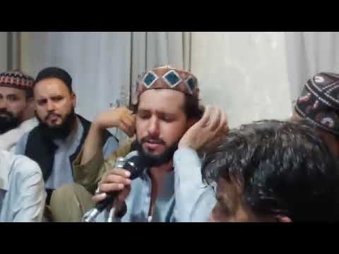 دل ز تن بردی و در جانی هنوز- منصور سکندری- امیر خسرو بلخی