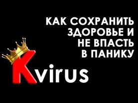 Как сохранить здоровье и не впасть в панику - лекция-антидот. Психотерапевт Екатерина Сокальская