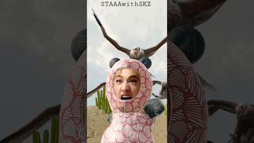 Chan’s tiktok update 1/9/21 AvenGeRs~ #straykids #tiktok #chan #bangchan #kpop #thunderous