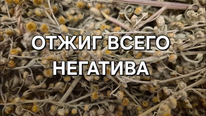 ОБЩИЙ РИТУАЛ-ЧИСТКА. ОТЖИГ ВСЕГО НЕГАТИВА С ОБРАТКОЙ.#ГолосЛешего