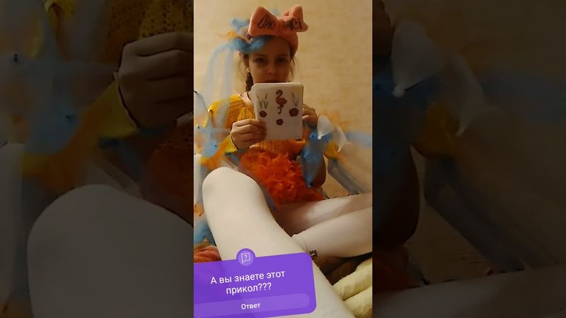 Попугай))) #истории