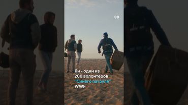 Как спасают балтийских тюленей