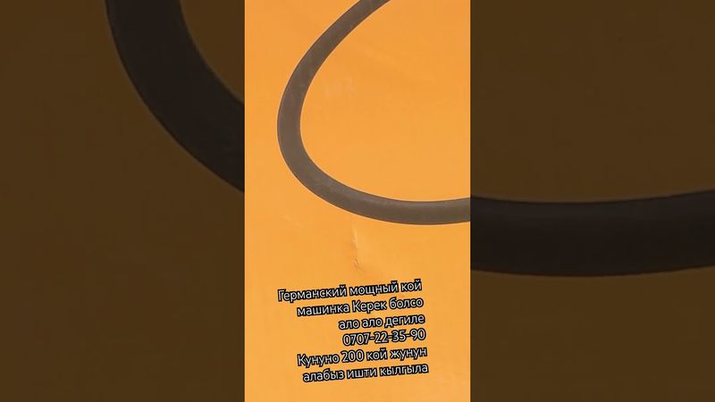 Кой алабыз 😱🇰🇬🐏💪🏼жун