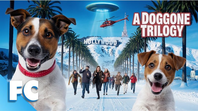 A Dog With Telepathic Abilities Escapes From The CIA