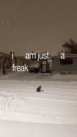 #CapCut announcing the release date on Monday👻 (song: ilyTOMMY - sick...