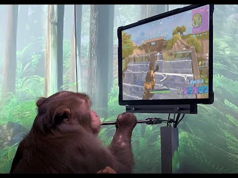 Neuralink Monkey plays Fortnite