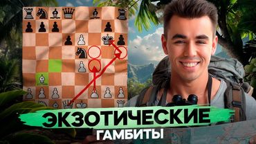 Эти ГАМБИТЫ СВОДЯТ С УМА! ТОП-5 ЭКЗОТИЧЕСКИХ ГАМБИТОВ, О Которых Ты НЕ СЛЫШАЛ!
