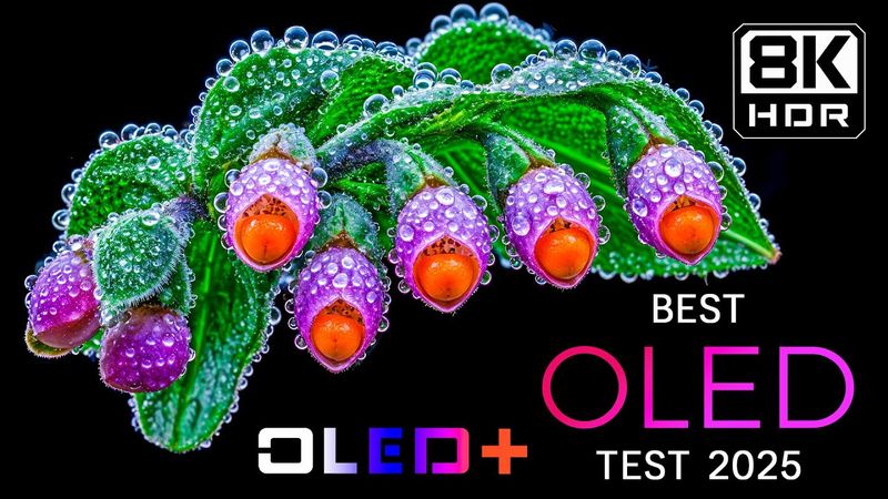 SPECIAL OLED DEMO – Breathtaking OLED Visuals in 8K HDR | Dolby Vision™