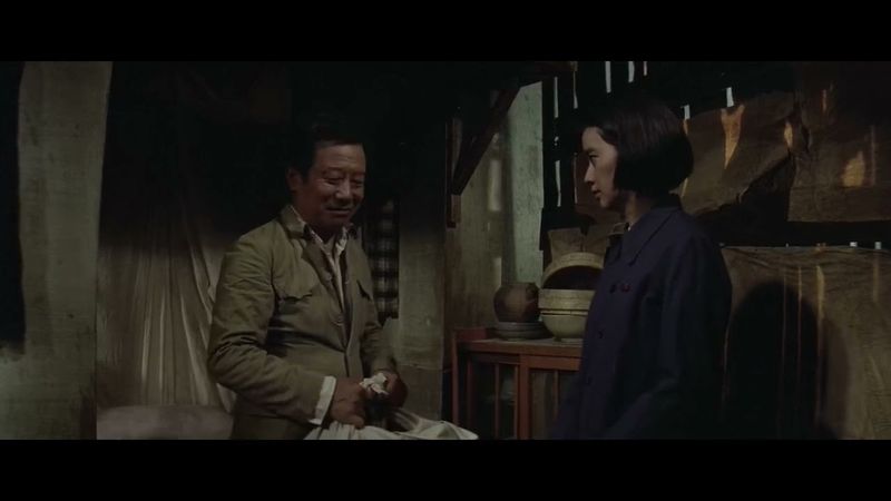 皇天后土 1981 || The Coldest Winter in Peking || 大陸禁片