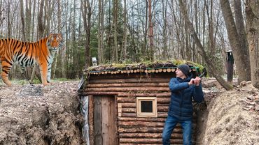 La tigre mi ha attaccato-Mi sto nascondendo in una capanna nella foresta