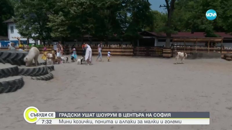 „Градски ушат шоурум” в центъра на София радва малки и големи