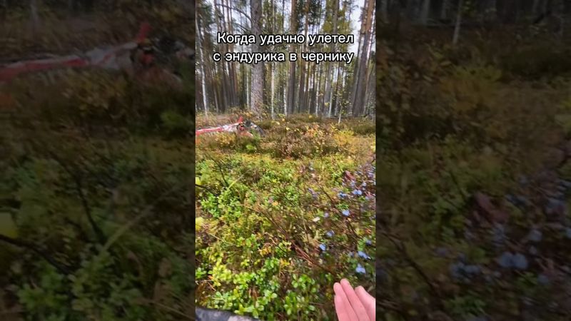 УДАЧНО 😊 #киллстрит #эндуро #мото #питбайк #killstreet #moto #enduro #stunt #стант