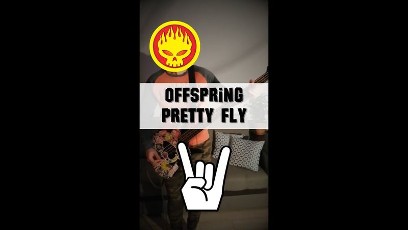 Бородатый Кавер - The Offspring. Pretty Fly (for a White Guy)