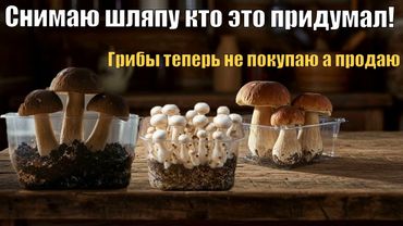 СДЕЛАЙ ЭТО и грибы вырастут сами! Выращивание грибов дома