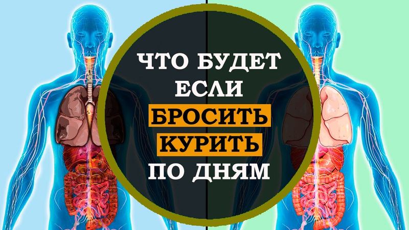 Это нужно знать! Что будет с организмом, если бросить курить прямо сейчас по дням. Интересные факты