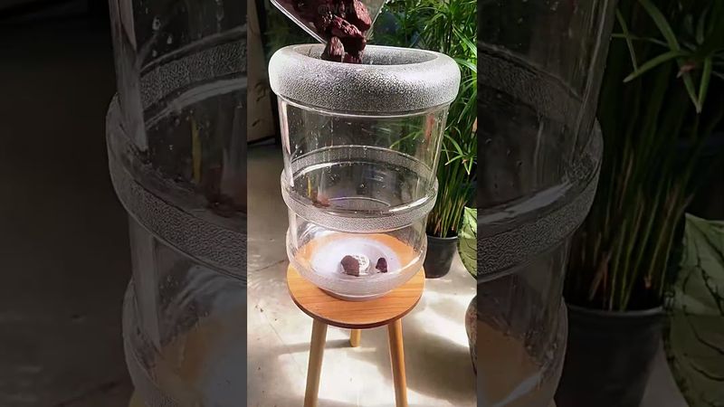 Methods for making a practical and beautiful fish tank by yourself 🐟💧🏺