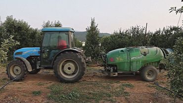 Греческие фермеры используют запрещённые пестициды, чтобы сэкономить