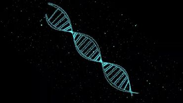 МЕДИТАЦИЯ - " Исцеление Внутреннего Ребенка" - слушать в наушниках