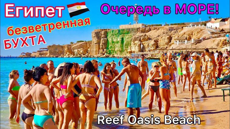 Отдых в Египте 🇪🇬 Туристы БЬЮТСЯ за лежаки❗️ ЛУЧШИЙ пляж в Шарм эль Шейхе. Отель Reef Oasis Beach 4*