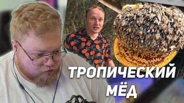 РЕАКЦИЯ T2x2: Нашли УЛЕЙ свирепых КОРОЛЕВСКИХ ПЧЁЛ НАС ИСКУСАЛИ ДОБЫВАЕМ ТРОПИЧЕСКИЙ МЁД