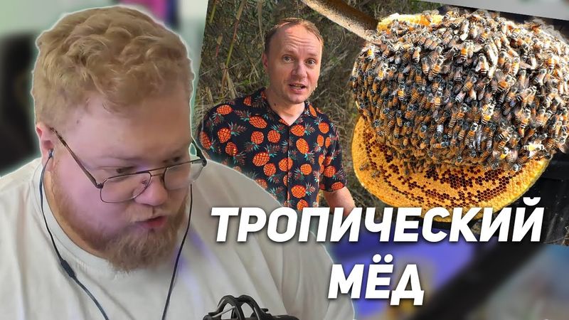 РЕАКЦИЯ T2x2: Нашли УЛЕЙ свирепых КОРОЛЕВСКИХ ПЧЁЛ НАС ИСКУСАЛИ ДОБЫВАЕМ ТРОПИЧЕСКИЙ МЁД