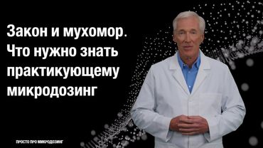 Закон и мухомор. Что нужно знать практикующему