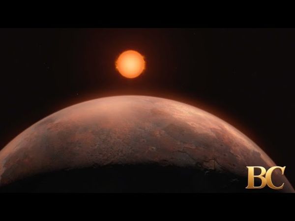 Scientists puzzled by giant planet detected orbiting tiny star