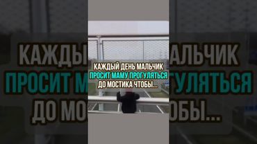 КАЖДЫЙ ДЕНЬ МАЛЬЧИК ПРОСИТ МАМУ ПРОГУЛЯТЬСЯ ДО МОСТИКА ЧТОБЫ.. #shorts #мотивациядня