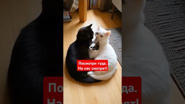 В Шапке профиля есть Промокоды 🇰🇿🇰🇬🇺🇿