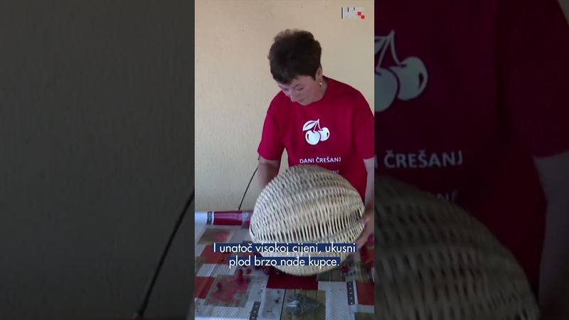 Lovranska trešnja 🍒