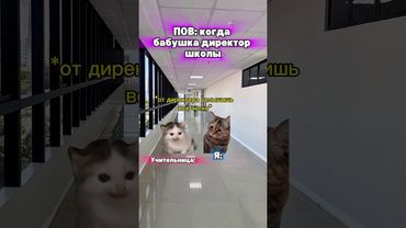 Когда бабушка директор школы🤣 #котята #мемы #жиза #шортс