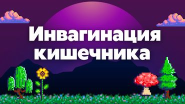 Инвагинация кишечника у детей и взрослых | Классификация и формы | Симптомы | Диагностика | Лечение